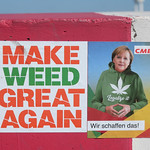 rpweednit