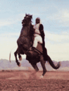 Tuaregue